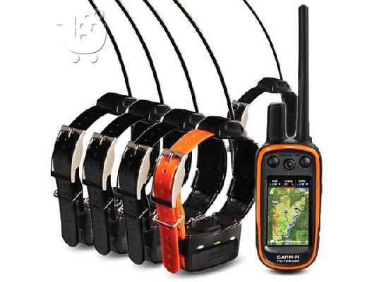 PoulaTo: Garmin Alpha 100 GPS Training & Tracking Collar 5 Dog Combo